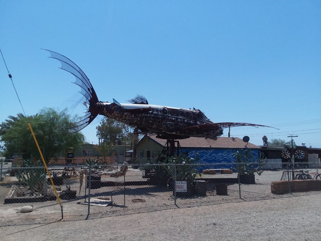 Flying Fish - Bombay Beach